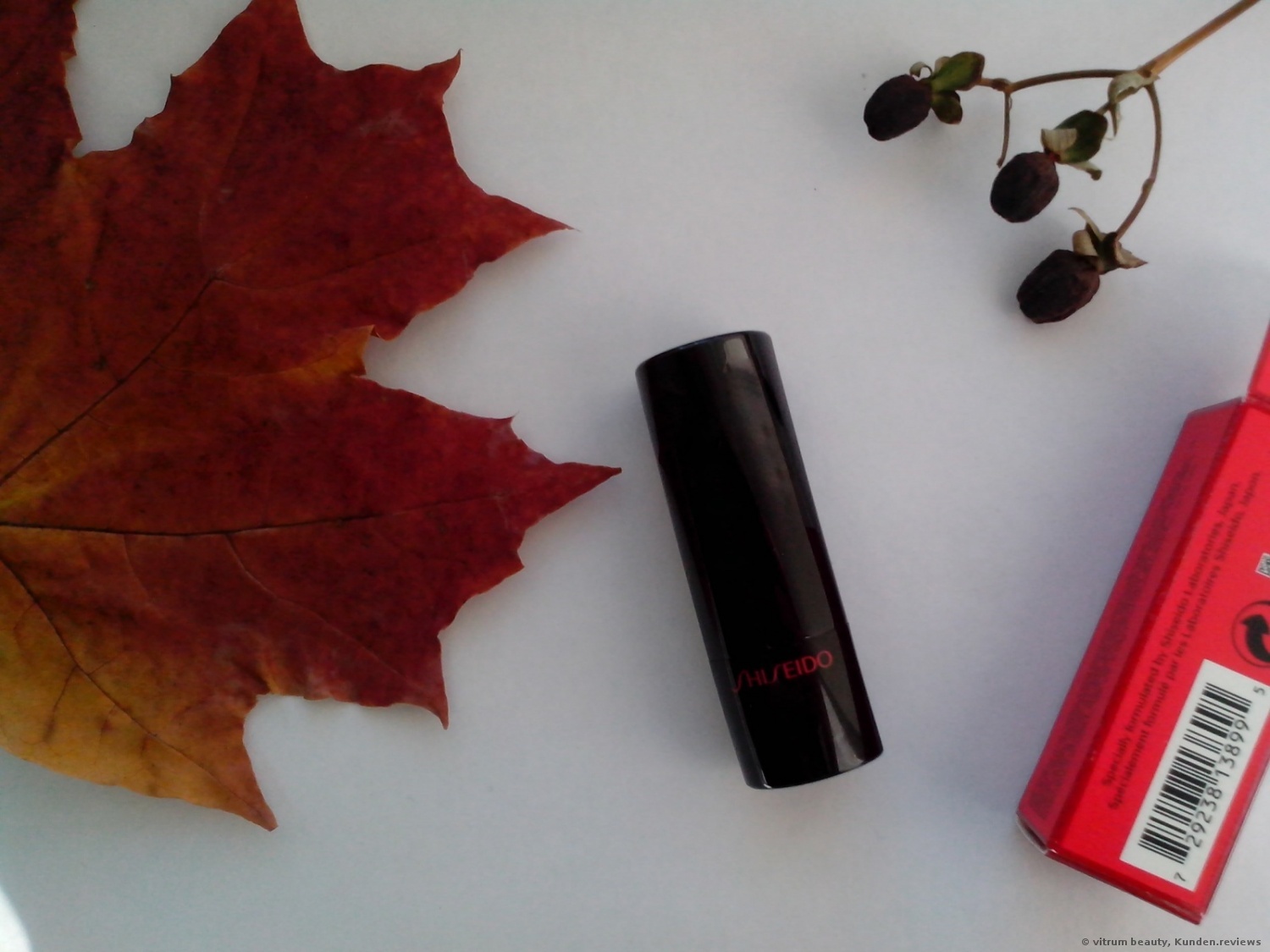 Shiseido Rouge Rouge Lippenstift Foto