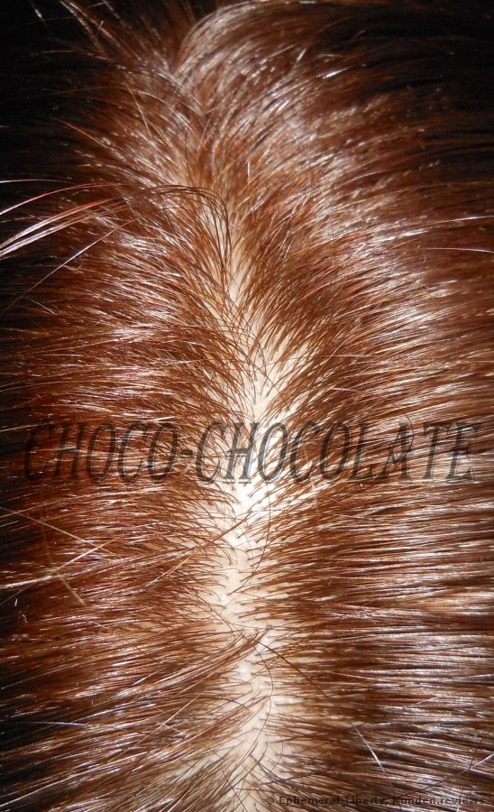 Garnier Olia Haar Coloration Goldbraun 5.3