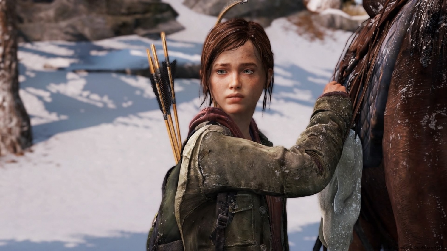 The Last Of Us Remastered [PlayStation 4] Foto