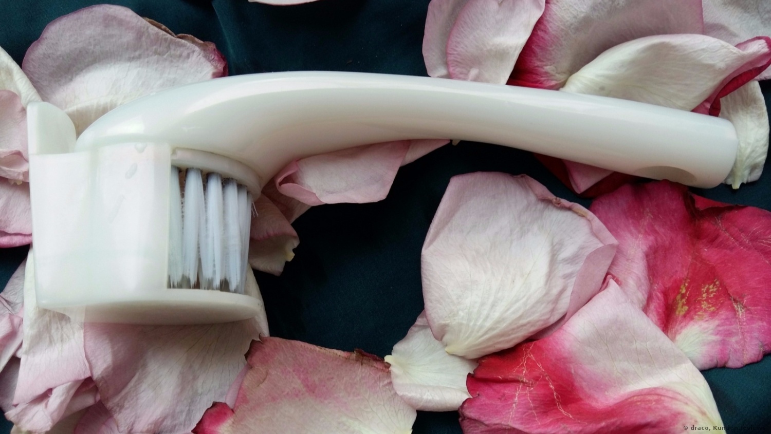 Shiseido Cleansing Massage Brush Gesichtsreinigungsbürste Foto